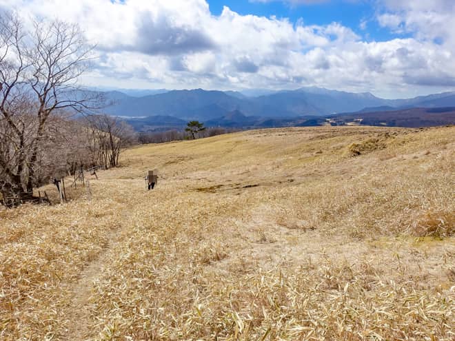 大山山頂　→ 霧降の滝