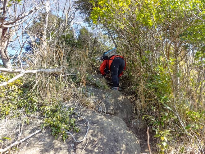 小鋸山に登ってみてわかったこと