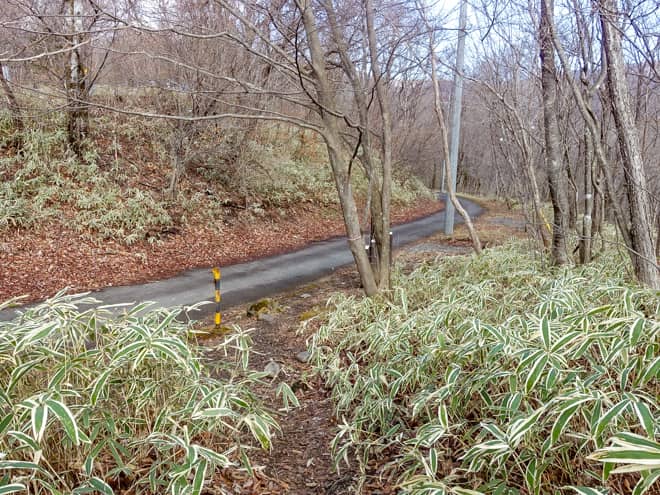 尾根道を抜けると道路に出ます