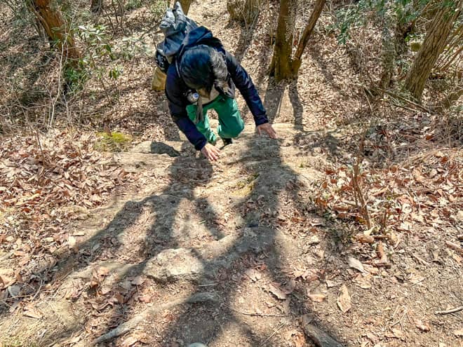 山頂までは本当にひたすら登りです