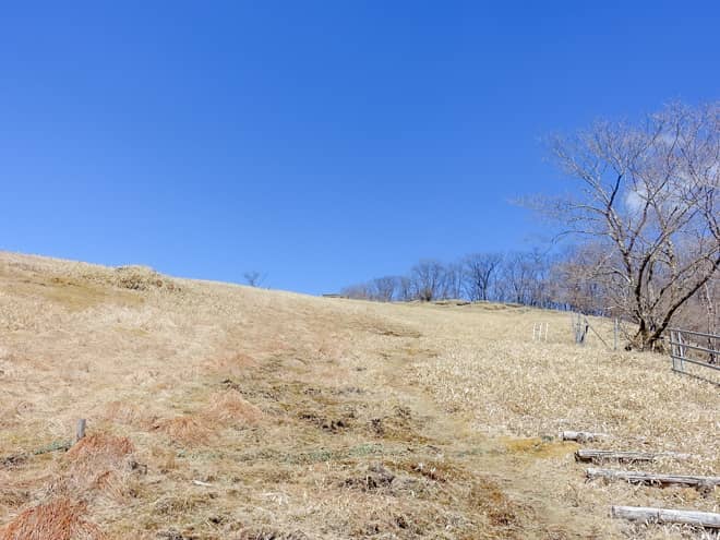 山頂までは解放感のある牧草地を登ります