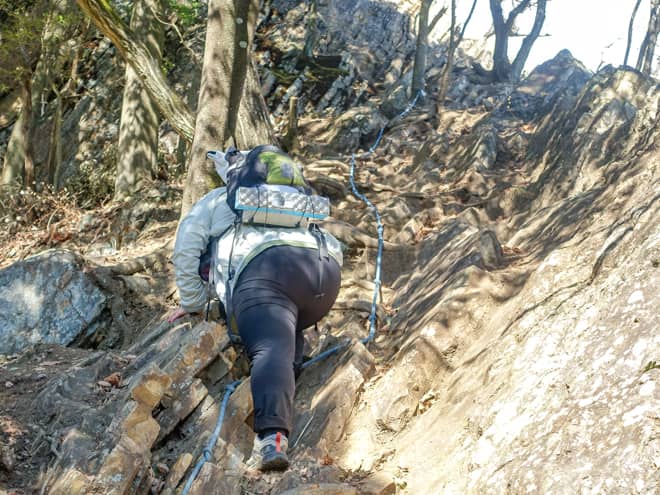 山頂直下で鎖場の出現です