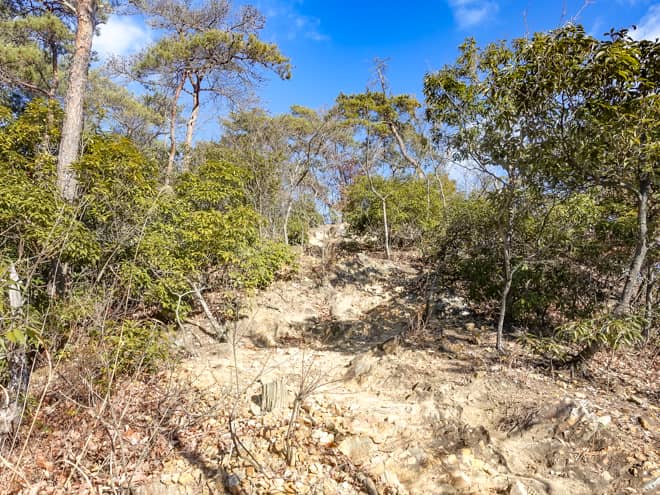 左手に大小山の看板を見ながら歩き進めると
