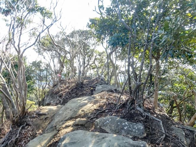 後半は見通しがよくなりますが