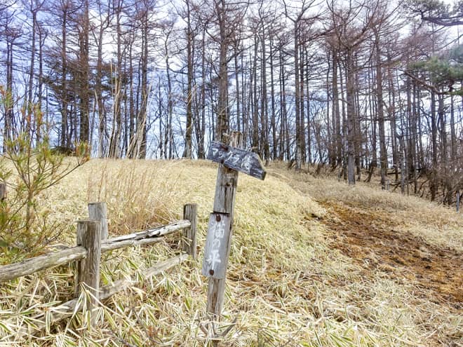 心を無にして登り続けると空が開けてみました