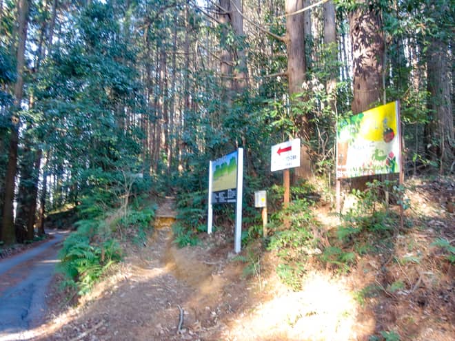 日吉神社登山口は
