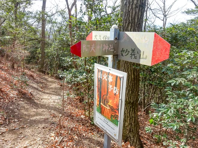暫く下ると再び分岐点に到着です