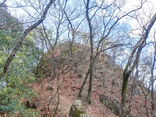 暫く歩き進むと山頂らしき場所がみえてきました