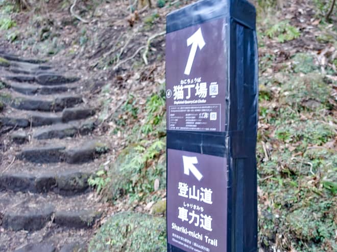 暫く進むと分岐点に到着します