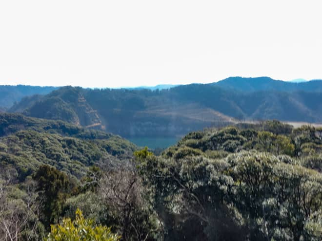 林道口への道のりでは