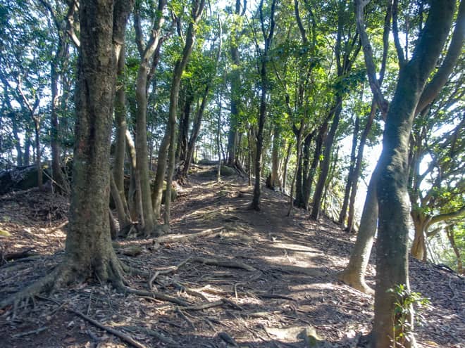 林道口までは距離にして約1400メートル