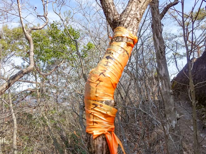 標識に書いてあった通りに50ｍ手前まで戻る