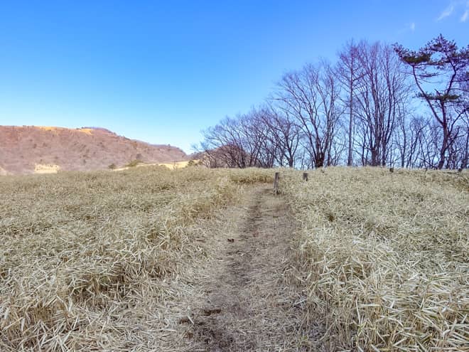 猫の平 → 大山山頂