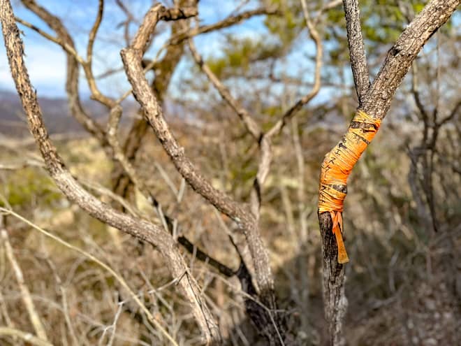 猿岩は登山の域を超えた岩場で