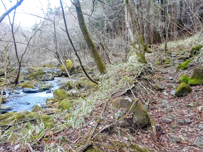 玉簾滝 → マツクラ滝