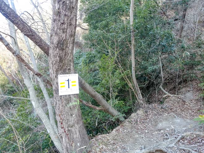 番号付きの標識がポイントごとに