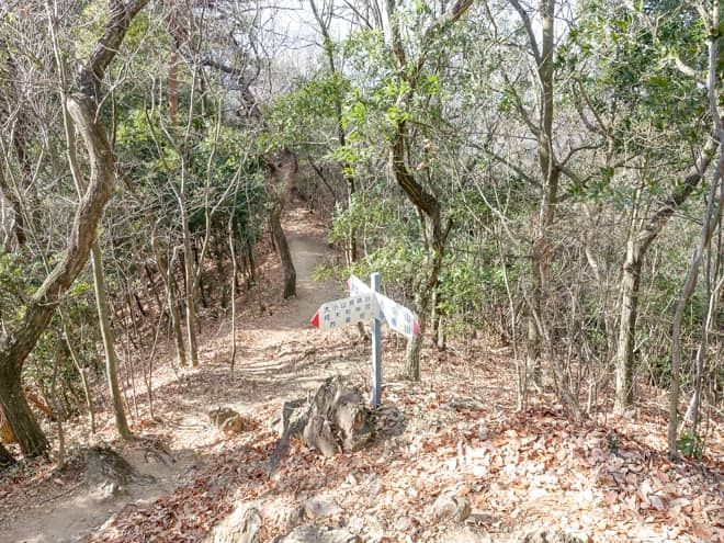 稜線を歩き進むと分岐点に到着します