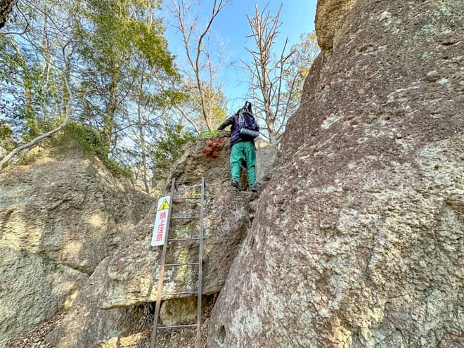 童心に帰れるアスレチック感満載の山