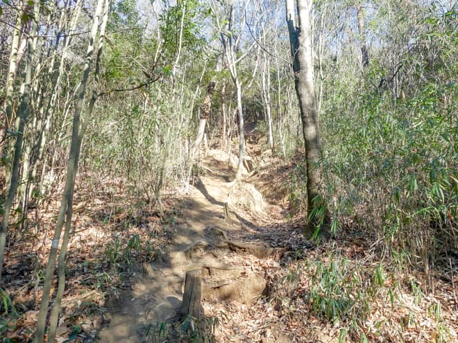 第一のステージは