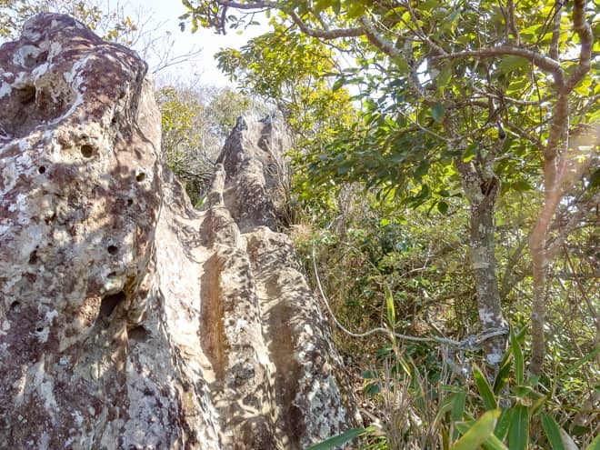 道迷いをしたのかと不安になり