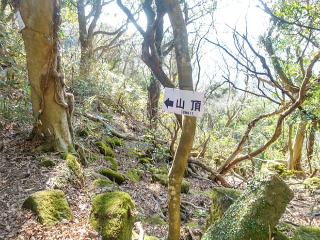鋸山山頂へ