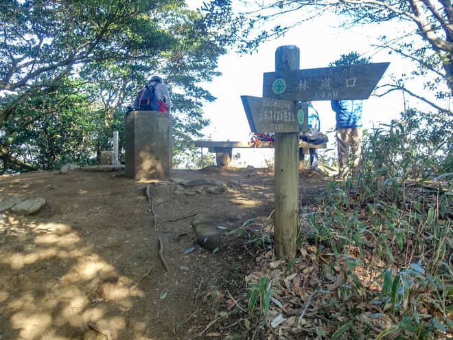 鋸山山頂 → 林道口