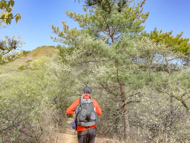 間違いなく登山にハマるきっかけになる山々ばかりです