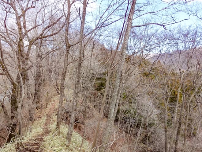 階段を昇ると細い尾根道が続きます