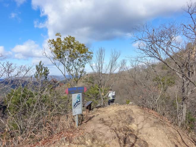 鷹巣山（大小山） → 金山