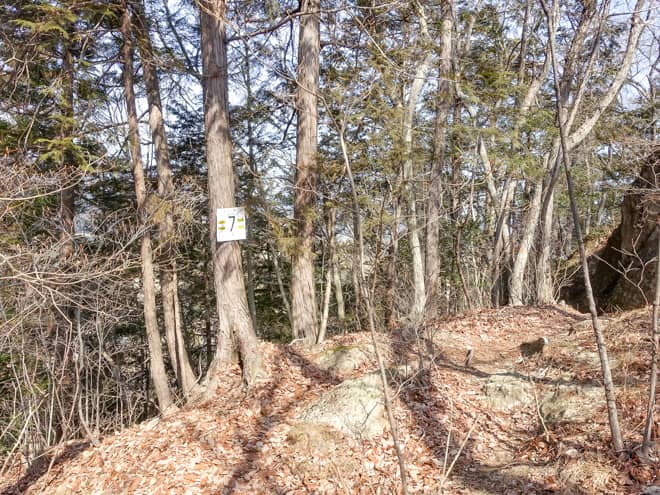 1番岩（岩山山頂） → 分岐点 → 猿岩（断念）