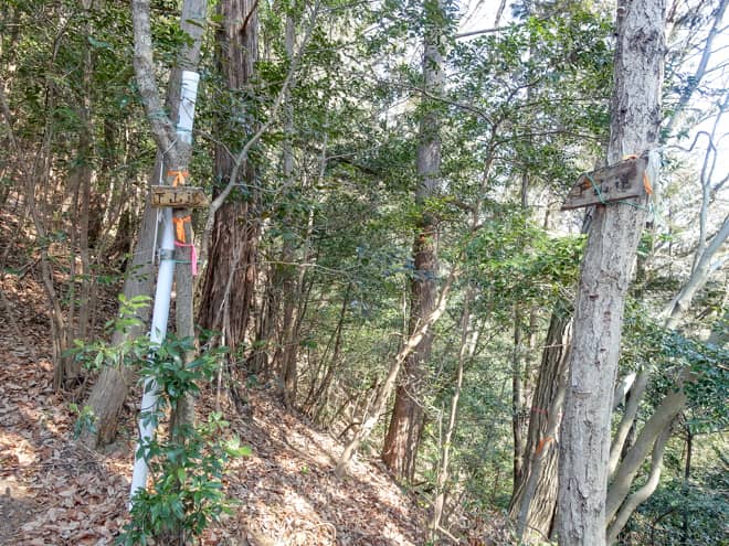 2のタルミにある下山道は