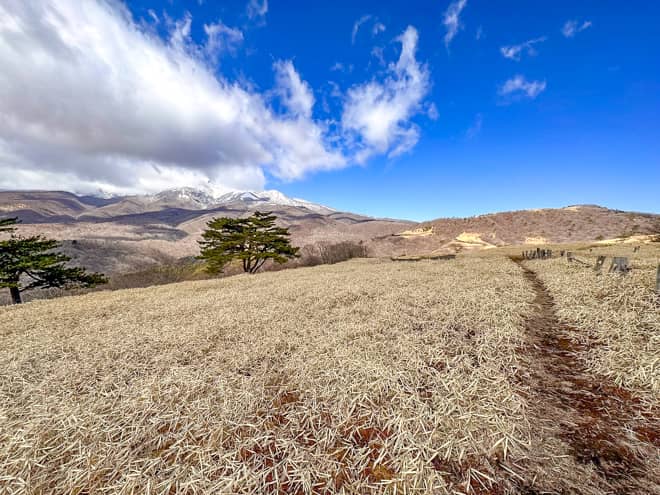 360度パノラマビューの草原が広がる猫の平は