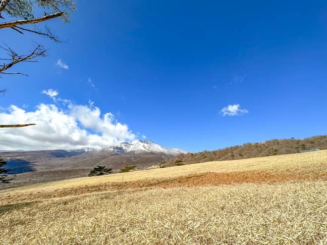 5月中旬から6月上旬にかけては