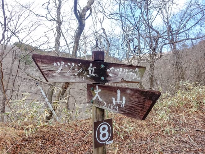 500メートル程度歩くと分岐が見えてきます