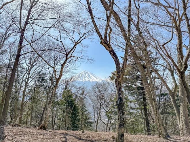 足和田山の登山道は歩きやすいのですが