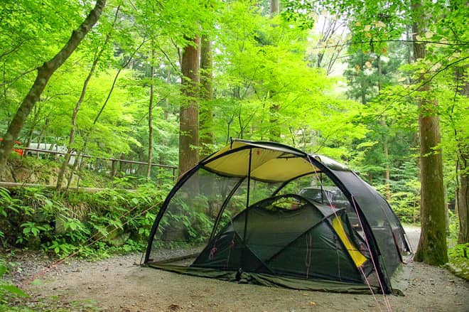 きゅうりが配られる3