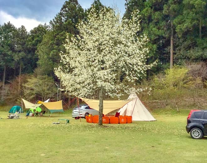 フリーサイトなのに設営場所を仕切られる3