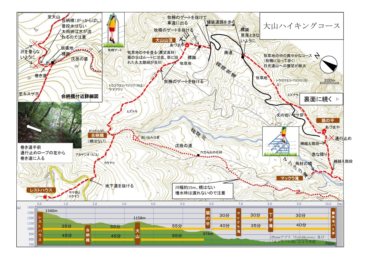 大山ハイキングコース