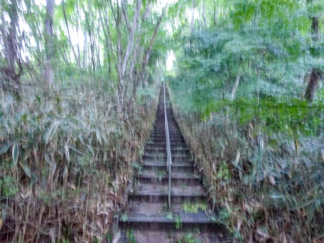 この先も果てしない階段が続きます