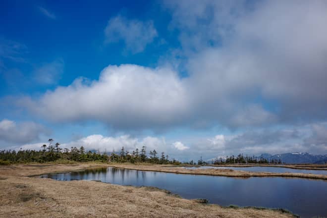 アヤメ平で最も印象的だったのが