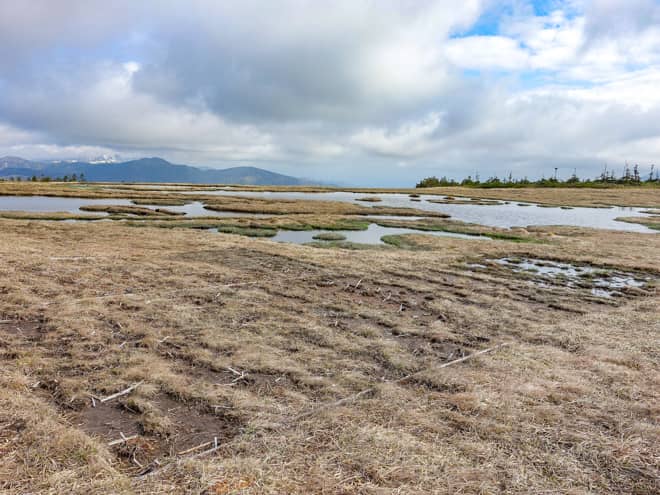 アヤメ平は、かつては「天上の楽園」
