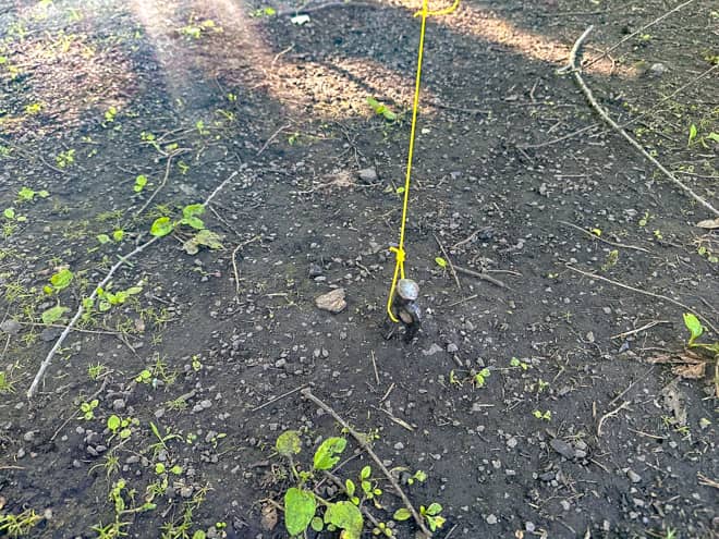 ペグの刺さり具合は？