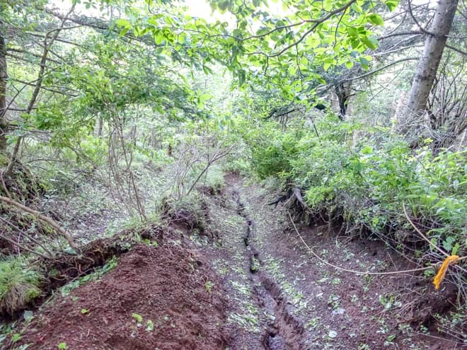 ロープがあるとはいえ