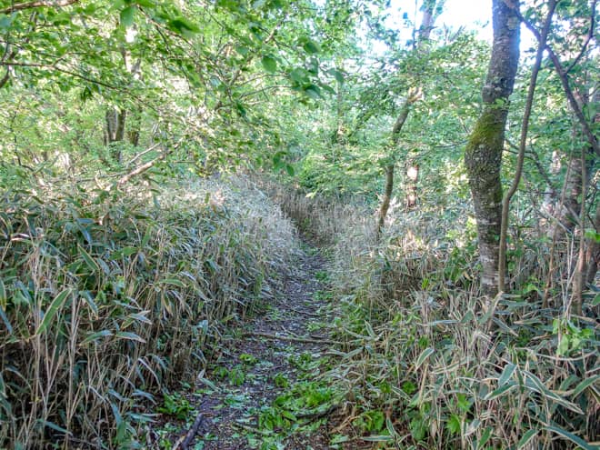一ノ砂ノ沢ノ頭→平尾山