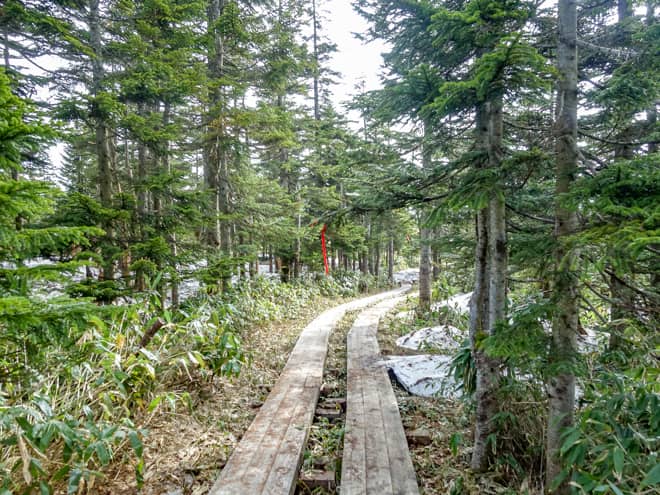 中原山→アヤメ平