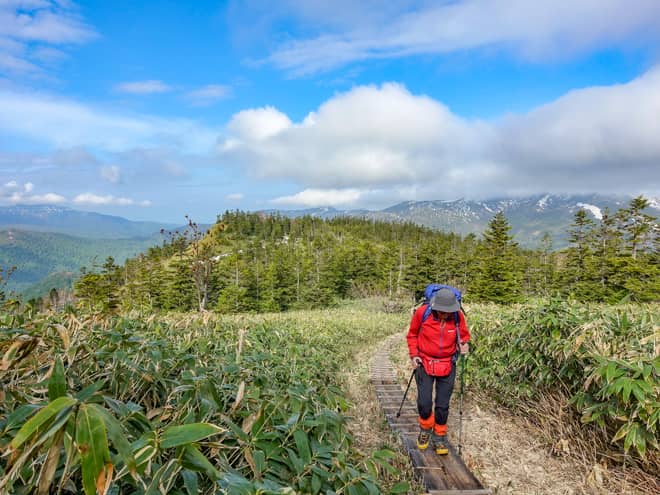 中原山までは思っていた以上に景色が開けていて