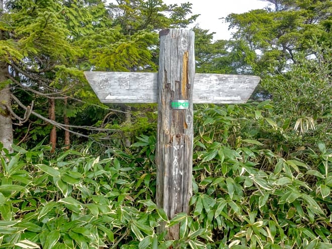 中原山山頂に到着です