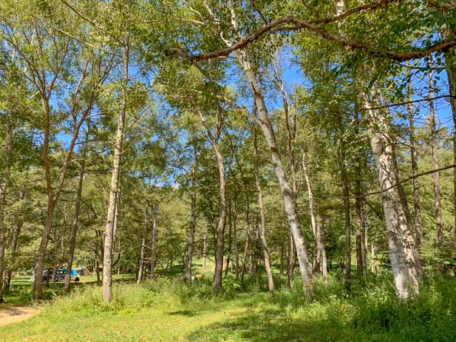 五光牧場オートキャンプ場【標高約1300m】