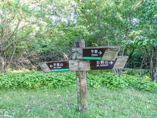 分岐点は下山する道と