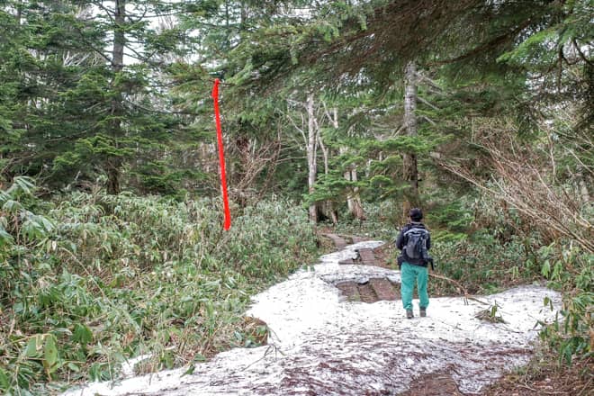 尾瀬を象徴する木道は勿論健在で